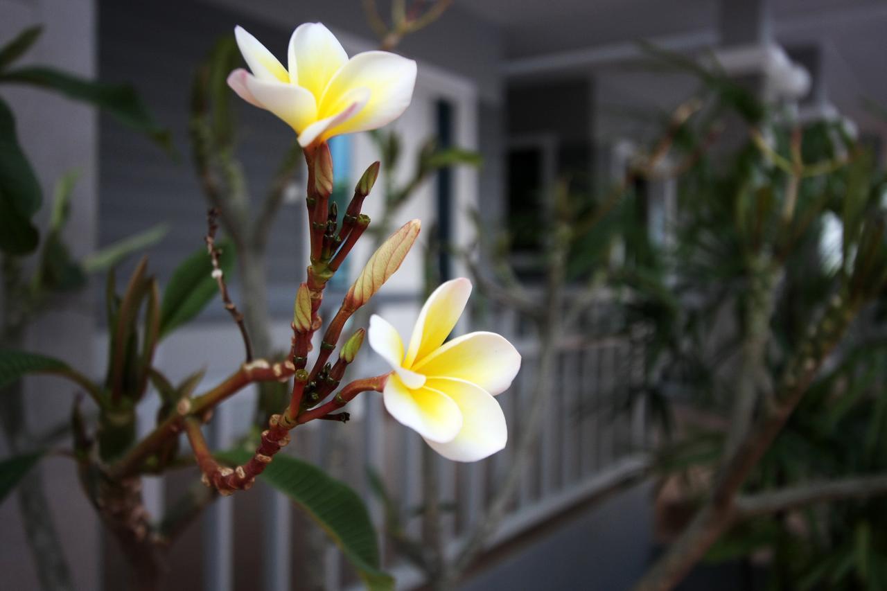 Rongsang Resort Nong Khae Eksteriør bilde